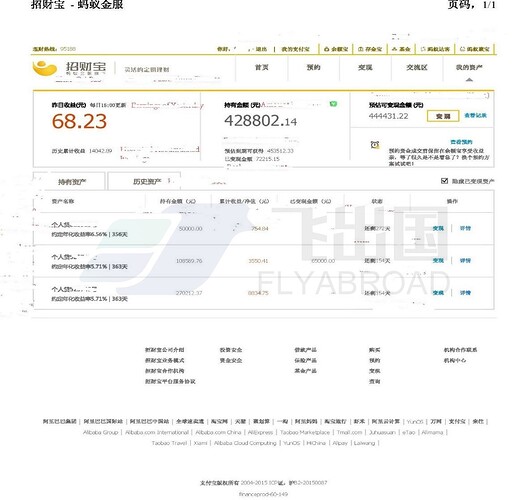 飞出国存款证明模板11